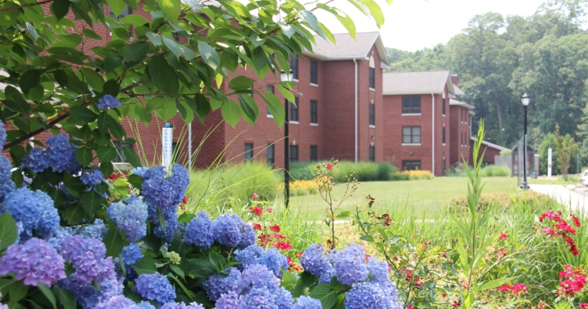 Applying for Campus Housing SUNY Old Westbury